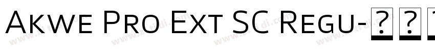 Akwe Pro Ext SC Regu字体转换
